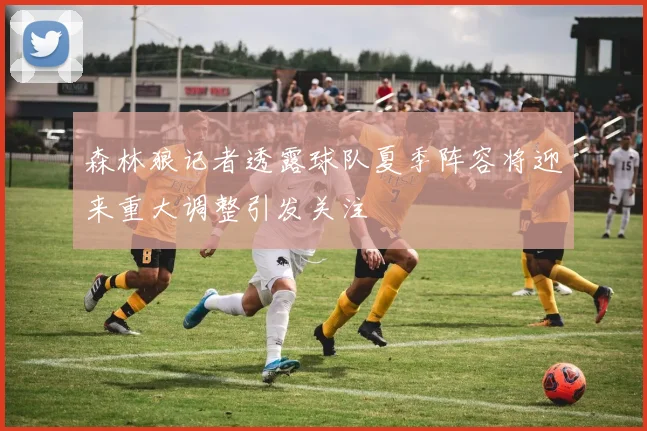 森林狼记者透露球队夏季阵容将迎来重大调整引发关注