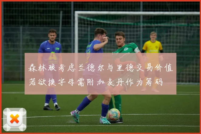 森林狼考虑兰德尔与里德交易价值若欲换字母需附加麦丹作为筹码